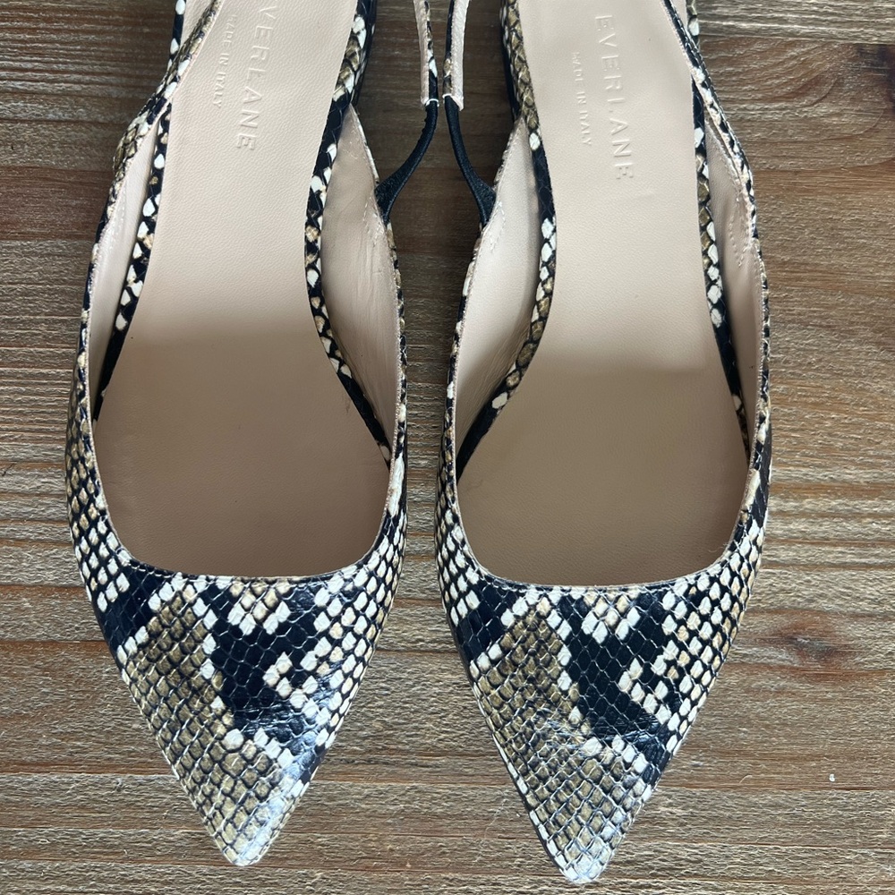 Everlane the Editor Slingback Flats